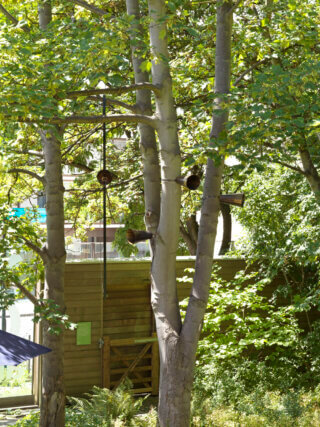 Installation view of Alison Wilding, Treecrabbing as part of Shelagh Wakely: A View from a Window, at Camden Art Centre, 2014. Photo: Marcus J Leith