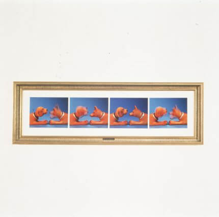 Terry Loane, BT New Contemporaries, Camden Art Centre, 1994