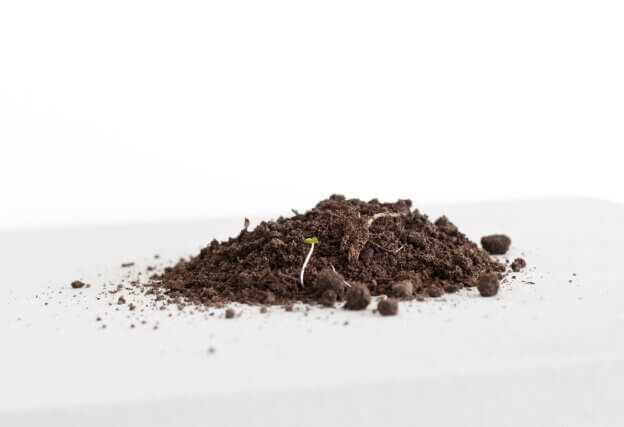 Topsoil from A Revolutionary Advent Calendar, Ruth Ewan, 2013, Museum of Modern Art, Warsaw