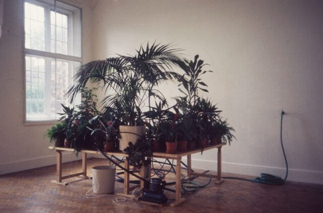 Jean-Luc Vilmouth, installation view of Animal Public, 1995