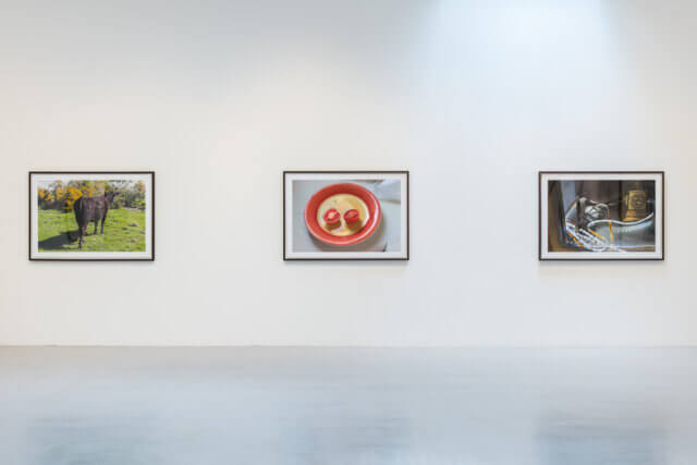 Installation view of Peter Fraser, 'Mathematics,' at Camden Art Centre, 2018. Photo: Damian Griffiths 