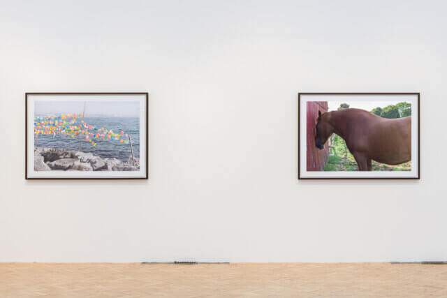 Installation view of Peter Fraser, 'Mathematics,' at Camden Art Centre, 2018. Photo: Damian Griffiths 