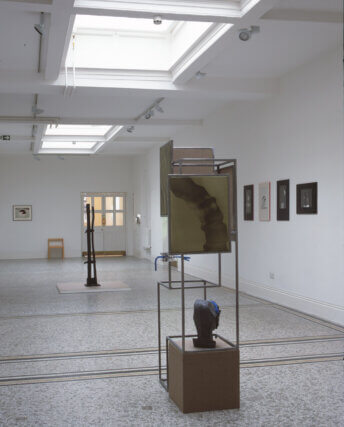 Strange Events Permit Themselves the Luxury of Occuring, Camden Art Centre, 2007