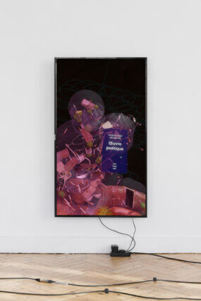 Installation view of Julien Creuzet 'Too blue, too deep, too dark we sank (...)' at Camden Art Centre, 2022. Photo: Rob Harris