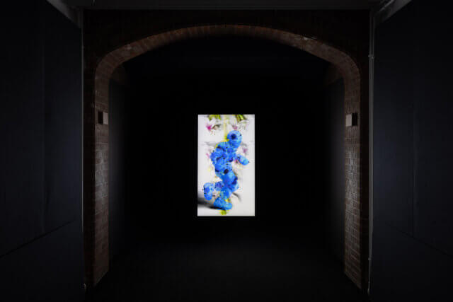 Installation view of Julien Creuzet 'Too blue, too deep, too dark we sank (...)' at Camden Art Centre, 2022. Photo: Rob Harris