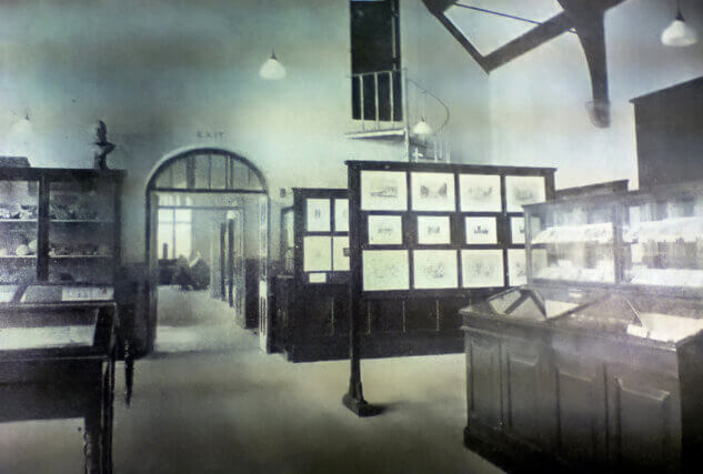 Hampstead Library, 1897-1964
