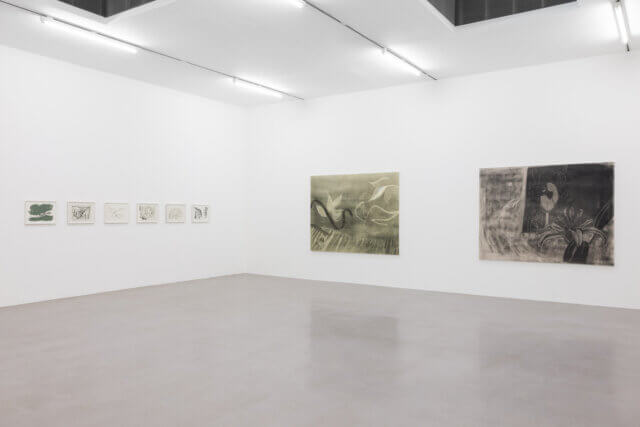Installation views of Zeinab Saleh, 'Softest place (on earth)' at Camden Art Centre, 2021. Photo: Rob Harris.