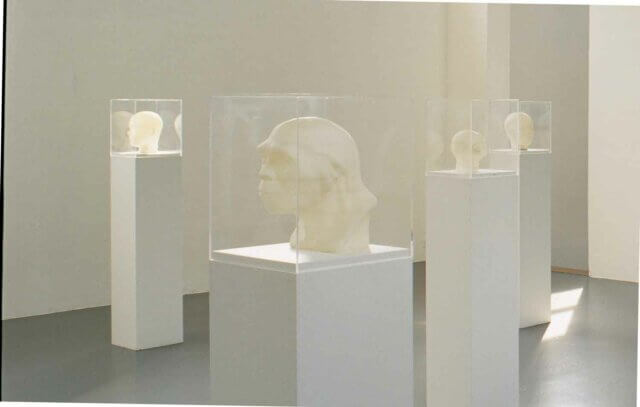 Christine Borland, The Dead Teach the Living, 1997. Courtesy Landesmuseum Munster,
© the Artist. Photo: Roman Mensing