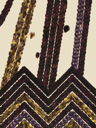 Jennifer Tee, Let It Come Down, 2017 (detail). Pressed Queen of the Night tulip petals and Rembrandt tulip petals, collage on paper, 4.5 × 2.4 m. Courtesy the artist and Galerie Fons Welters, Amsterdam.