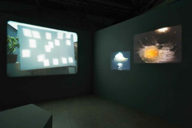 João Maria Gusmão + Pedro Paiva. Installation view of Papagaio at Fondazione HangarBicocca / 2014.