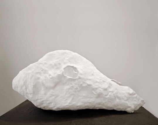 Katie Cuddon,  The Difficulty of a Shadow 2010. Painted ceramic and wood. Courtesy the artist 
and Simon Oldfield Gallery, London. © Fernando Maquieira and artist