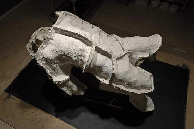 Christine Borland, Cast From Nature  2010 ⁄ 2011. All Cast From Nature images: Courtesy Glasgow Sculpture Studios 
© the artist. Photo: Ruth Clark