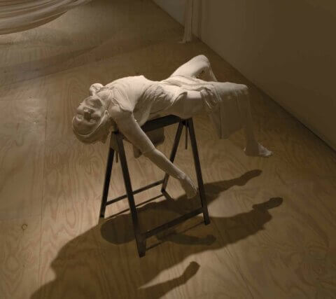 Christine Borland, Cast From Nature  2010 ⁄ 2011. All Cast From Nature images: Courtesy Glasgow Sculpture Studios 
© the artist. Photo: Ruth Clark