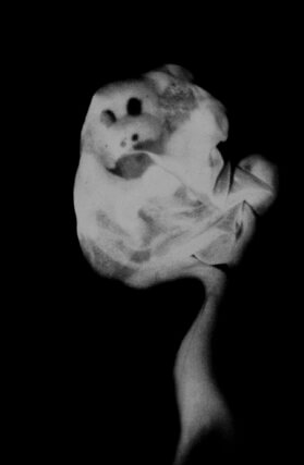David Askevold and Mike Kelley, The Poltergeist 1979. Six photographs and text (detail). Courtesy and © David Askevold Estate.