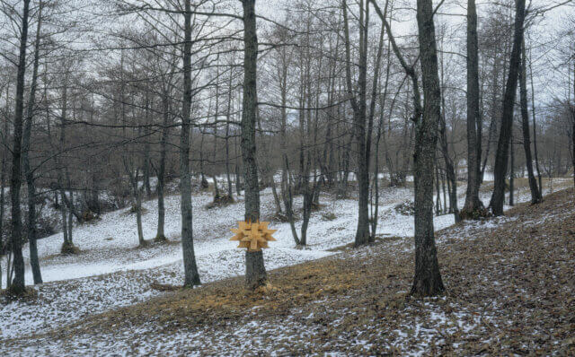 Mircea Cantor, Hiatus 2008. Lambda print, 100 ✕ 161 cm. Courtesy the artist and Yvon Lambert, Paris, New York.