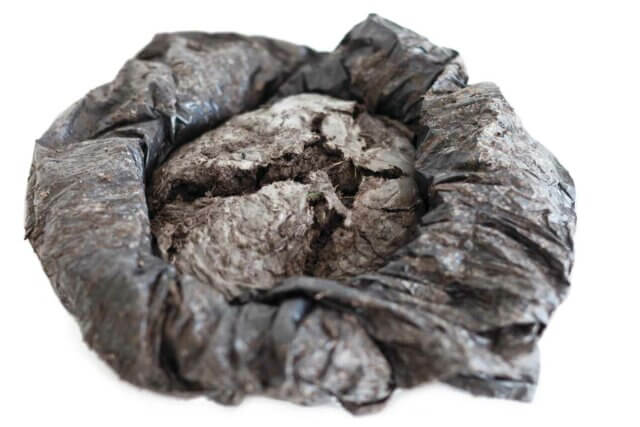 Ruth Ewan, Manure from A Revolutionary Advent Calendar, 2013 / Photo: Bartosz Stawiarski. Courtesy the artist and Rob Tufnell, London.