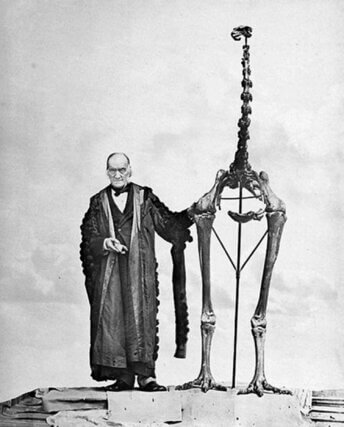 Richard Owen Portrait of Sir Richard Owen (1804–92) British palaeontologist, with a skeleton of a giant moa. Courtesy George Bernard / SPL.