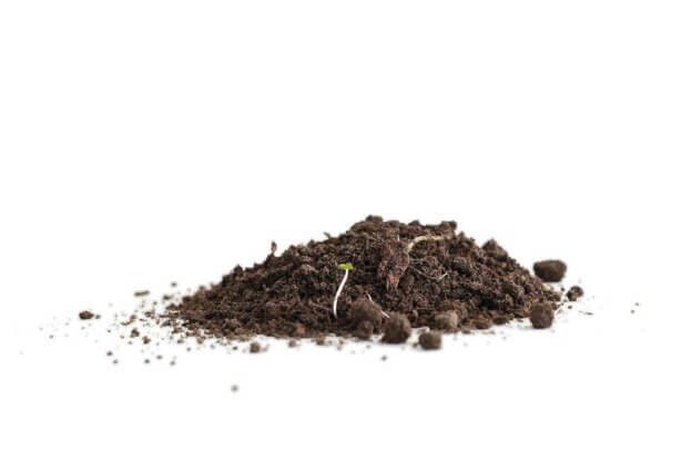 Ruth Ewan, Topsoil from A Revolutionary Advent Calendar, 2013 Photo: Bartosz Stawiarski. Courtesy the artist and Rob Tufnell, London.