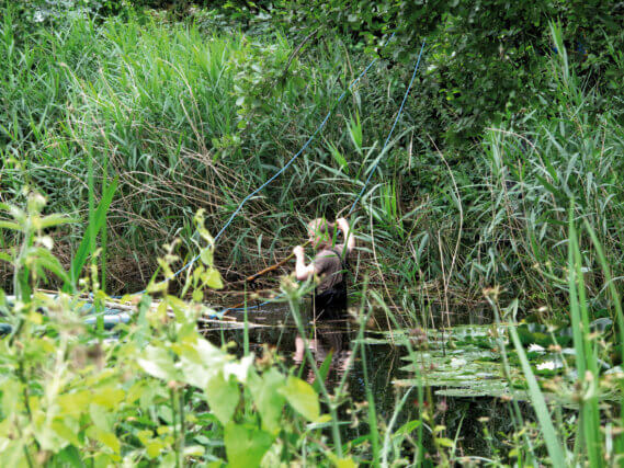 Ria Pacquée, Return of the Witness 2009. Digital photograph. Courtesy of the artist.