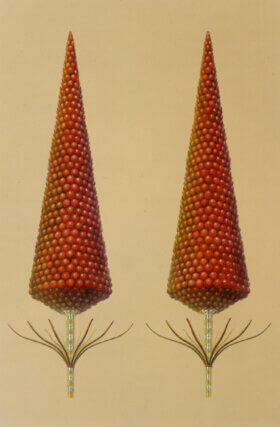 David Thorpe, The Defeated Life Restored
(detail), 2007. Watercolour on paper.
© the artist. Courtesy Maureen Paley, London