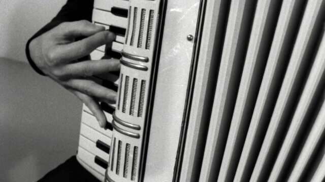 Sam Belinfante, Accordion (still from video, detail), 2014. 16mm film transferred to HD video. Courtesy the artist.
