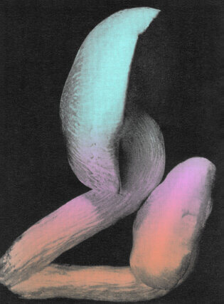 Salvatore Arancio, Pleurotus Ulmarius, 2015. Archival inkjet print on cotton paper mounted on dibond, wood, Perspex. 205 × 145 cm. Courtesy the artist and Federica Schiavo Gallery.