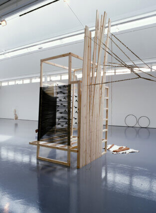 Claire Barclay, Ideal Pursuits 2003. Installation view and detail. Dundee Contemporary Arts, Dundee. Photo: Ruth Clark. © the artist; courtesy doggerfisher, Edinburgh and 
Stephen Friedman Gallery, London.