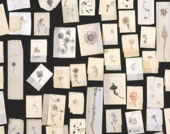 A Diary of Flowers (1994) Ink on paper napkins 
(60 elements). Courtesy the artist and Stephen Friedman Gallery, London. © the artist