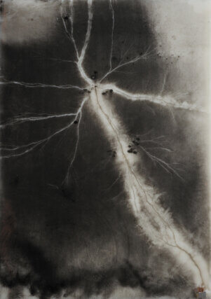 Nina Canell, Near Here (1 Microsecond), 2014. Collaboration with Robin Watkins. Photocopying toner, nylon, cable, mylar tape, 1,000,000 volt during 1 microsecond. Courtesy the artist, Konrad Fischer Galerie, Mother’s Tankstation and Galerie Wien Lukatsch. Photography by Robin Watkins.