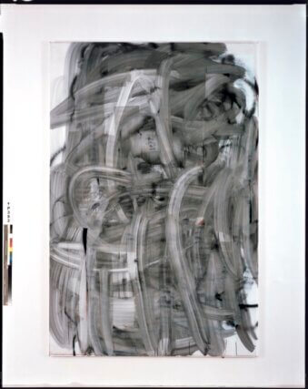 Untitled 2002 / Enamel on linen / 108 72", Courtesy of the artist and Private Collection