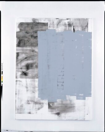 Untitled 2003 / Enamel on linen / 96 72", Courtesy of the artist and Galerie Gisela Capitain, Cologne 
and Luhring Augustine, New York
