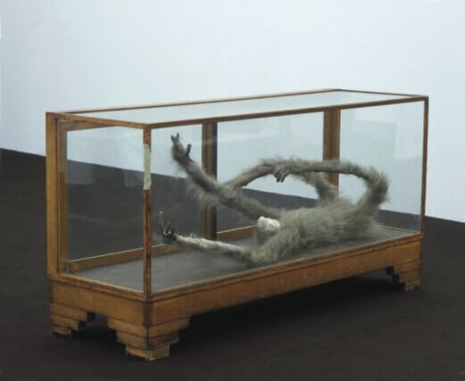 Sloth 2003, courtesy of Kate MacGarry, London
