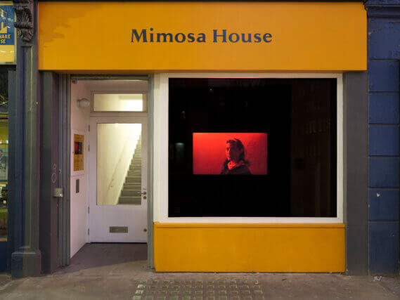 Shameless Light at Mimosa House