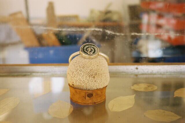 Installation views of Tamara Henderson, 'Green in the Grooves' at Camden Art Centre, 2023. Photo: Jake Tilbury