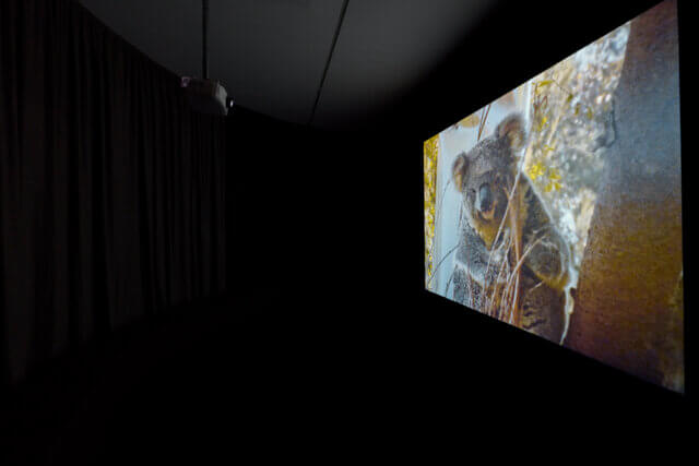 Installation views of Tamara Henderson, 'Green in the Grooves' at Camden Art Centre, 2023. Photo: Luke Walker