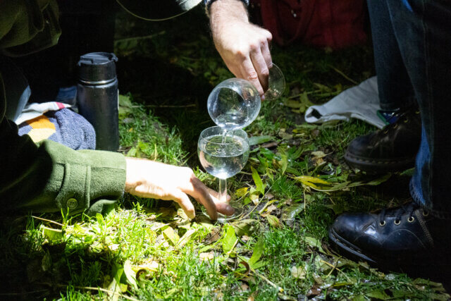 Worm Charming event programme at Camden Art Centre with Georgia Gendall, 2023
