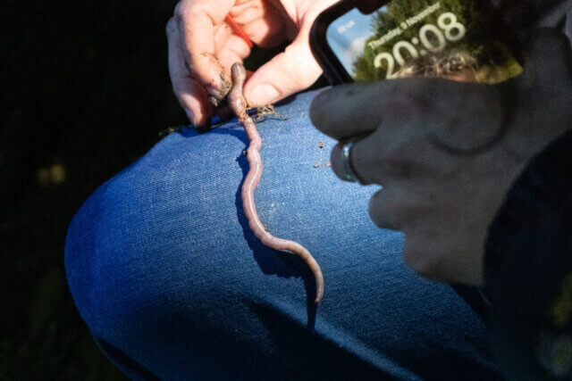 Worm Charming event programme at Camden Art Centre with Georgia Gendall, 2023