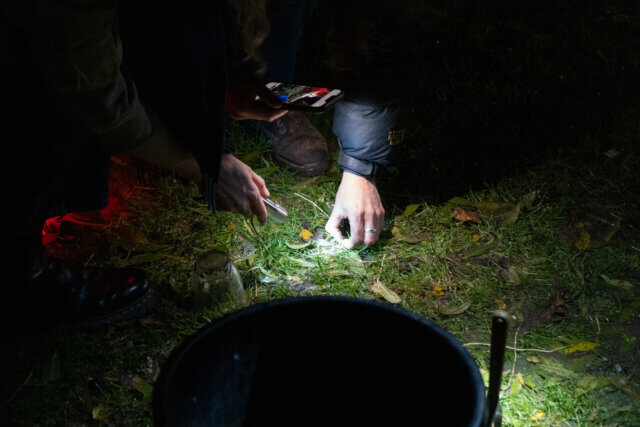 Worm Charming event programme at Camden Art Centre with Georgia Gendall, 2023
