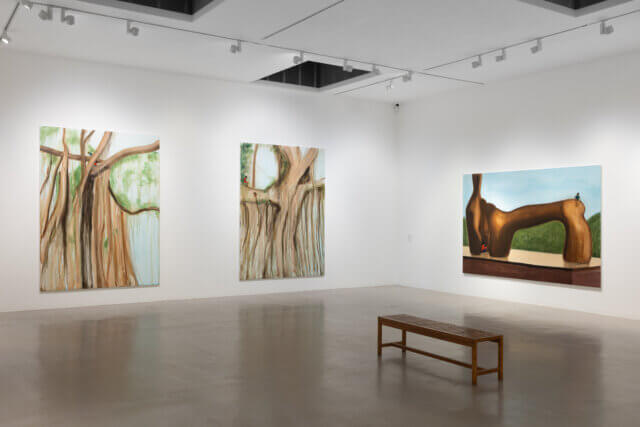 Installation view, 
'The Bough Breaks'
at Camden Art Centre, 26 April/ 23 June 2024.
Photo: Rob Harris