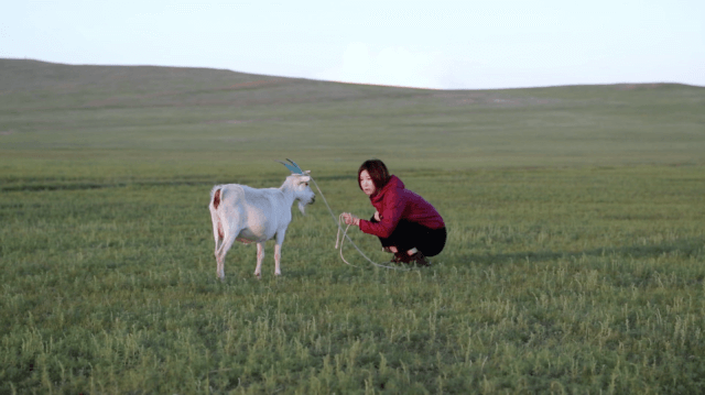 Aya Momose, still from 'To Cuddle a Goat, a Poor Grammar Exercise', 2016, Single channel video, 13 min 50 sec
