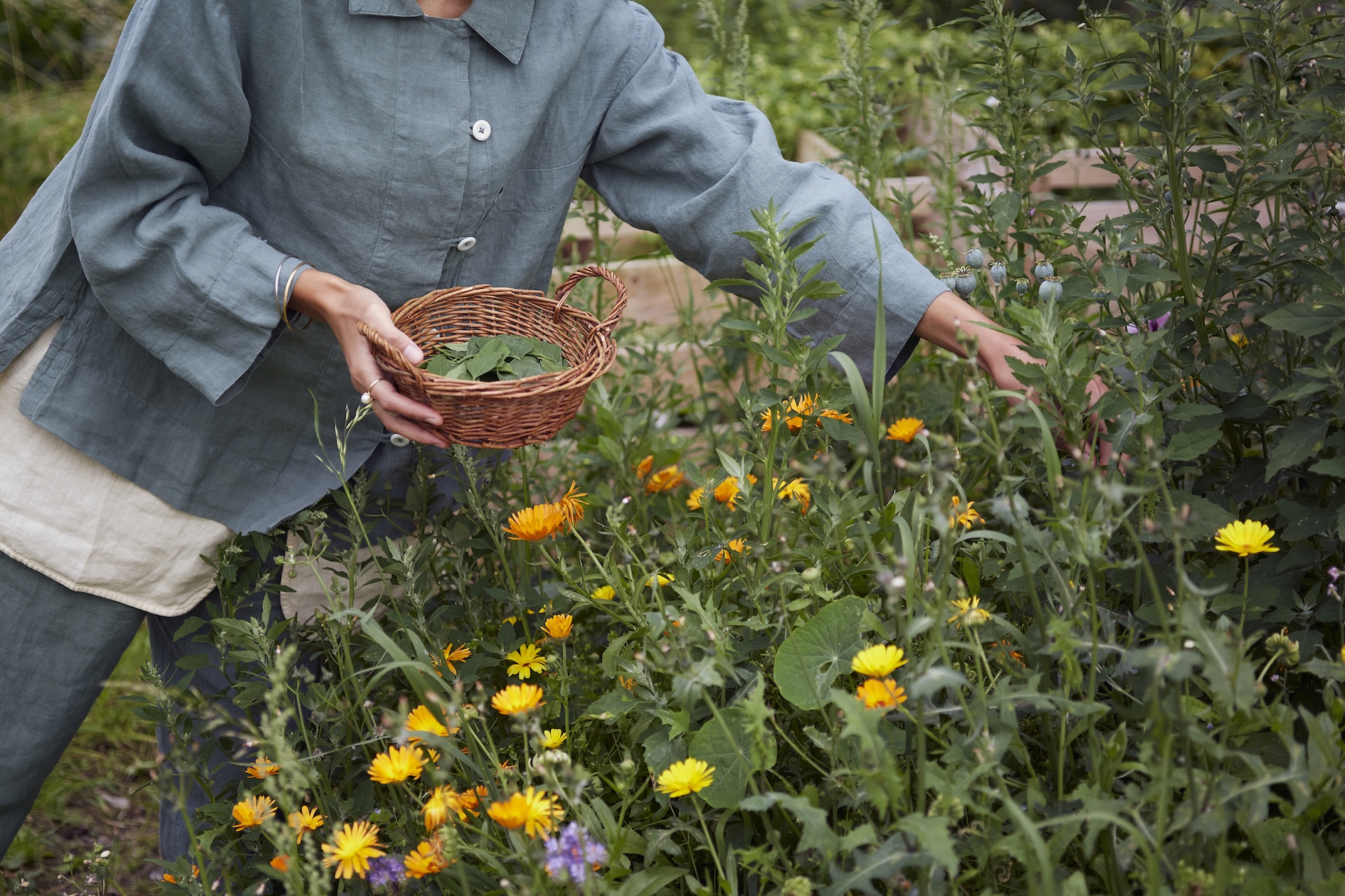 Seasonal Botanical Dyes Workshop: Autumn