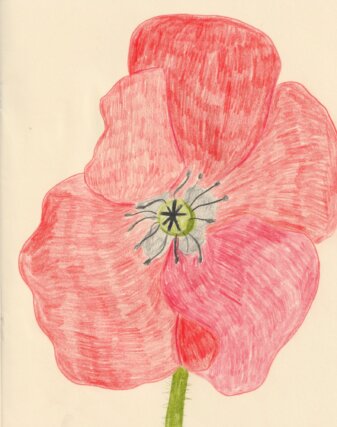 Photograph by Kohei Yamamoto for Nidi Gallery.