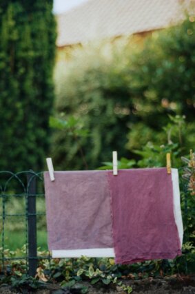 Introduction to Natural Dyes Workshop
