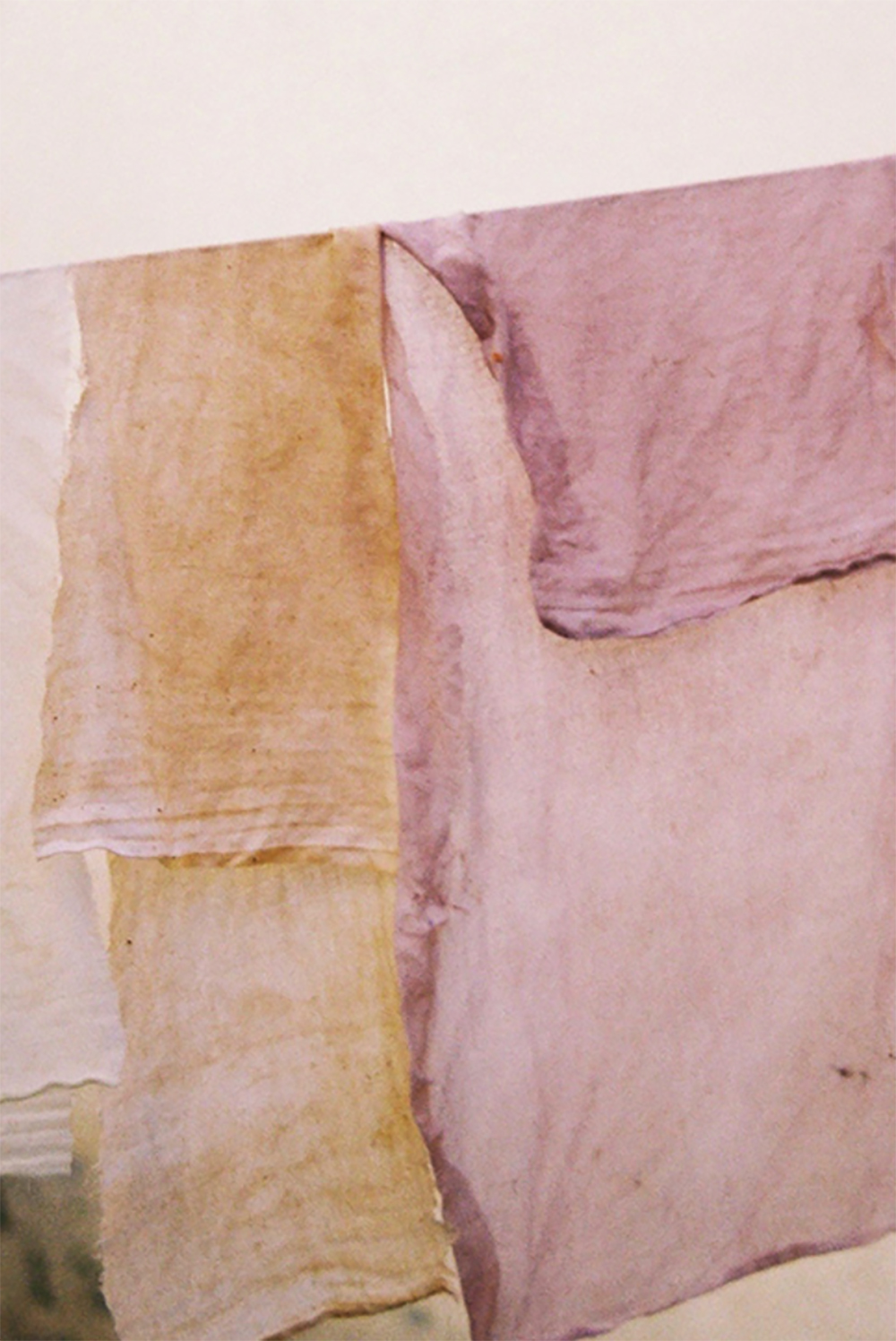 Introduction to Natural Dyes Workshop